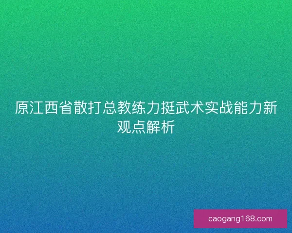 原江西省散打总教练力挺武术实战能力新观点解析